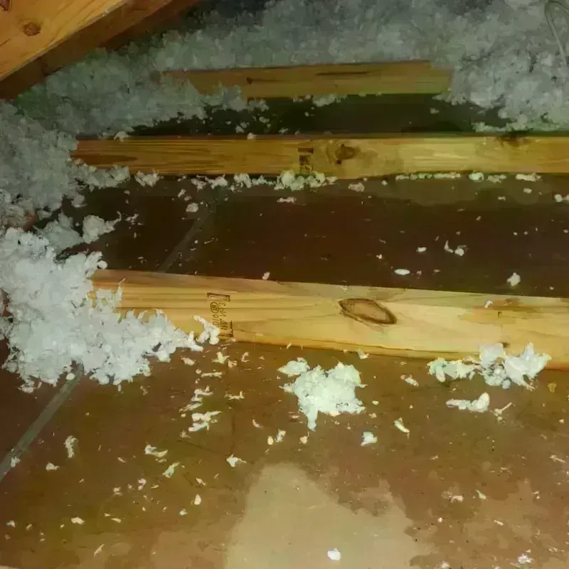 Attic Water Damage in Leesville, SC